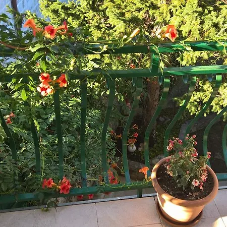Apartament Franicevic