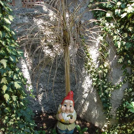 Appartamento Franicevic *