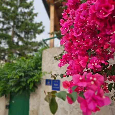 Franicevic Appartamento *