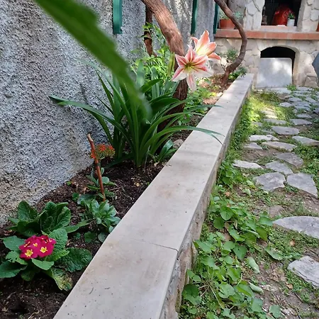 Franicevic Appartamento *