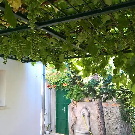 Franicevic سبليت