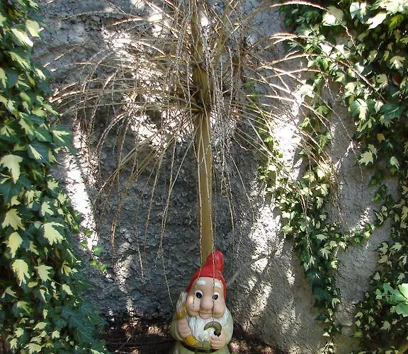 Apartamento Franicevic *