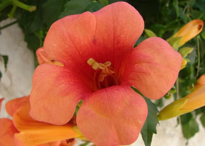 Apartamento Franicevic Split