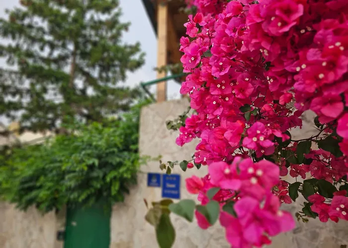 Franicevic Apartamento *