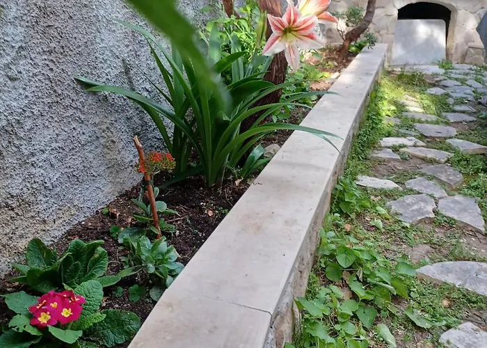 Franicevic Apartamento *